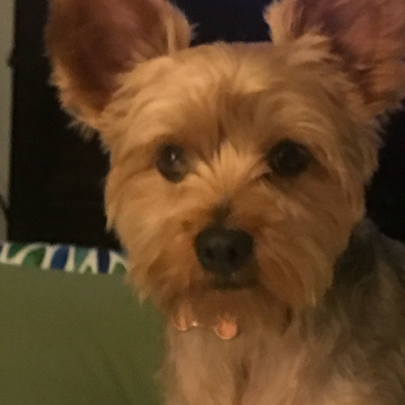 Meet your Posher, Catherine - Picture 1 of 1